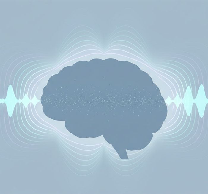 【生理節律與環境因子】40Hz 伽馬波刺激與大腦修復：重塑 PNEI 網絡的「大腦清道夫」機制