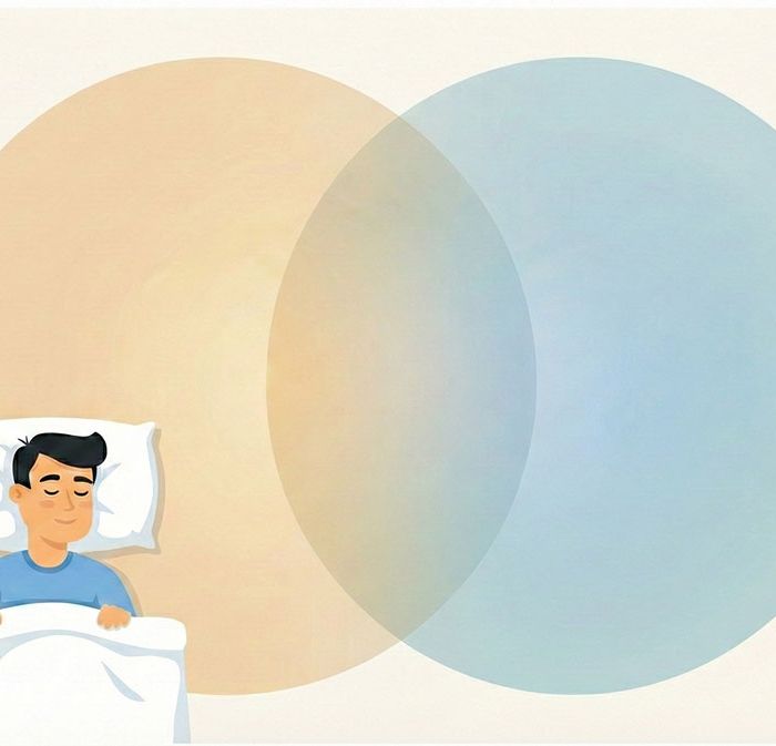 睡眠調節的核心雙重機制：恆定睡眠壓力與生理節律的交互作用