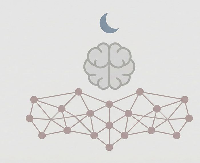 Role of sleep in immune memory consolidation within PNEI network
